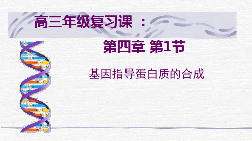 高考生物一轮复习基因的表达(15张PPT)