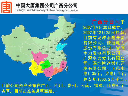 中国大唐集团公司广西分公司简介