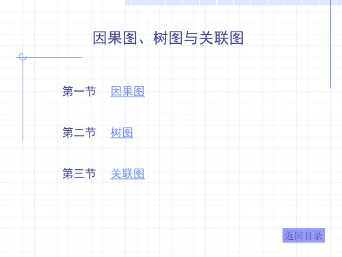 因果图、树图与关联图知识分析(ppt 14页)