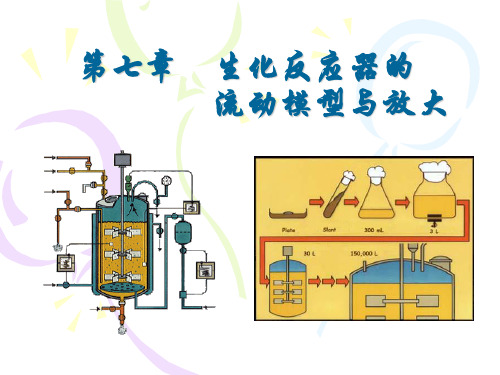 07第七章生化反应器放大