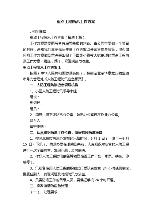 重点工程防汛工作方案