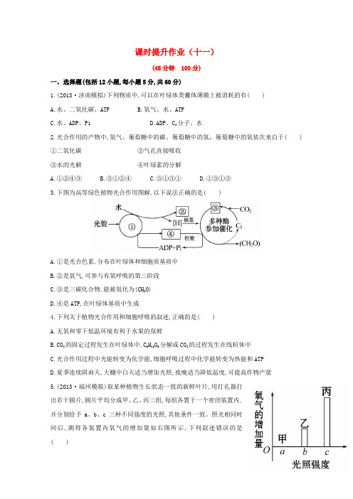 高中生物 课时提升作业(十一)