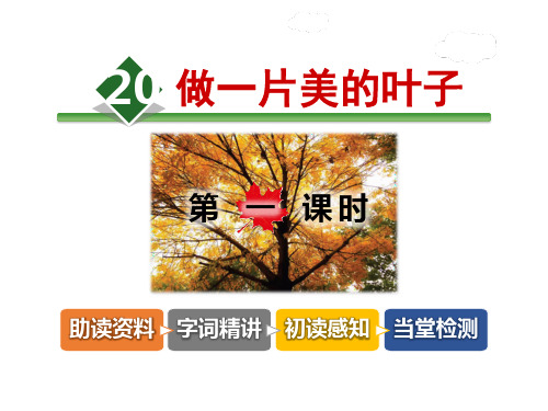 做一片美的叶子-精品课件