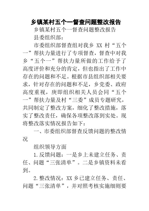乡镇某村五个一督查问题整改报告
