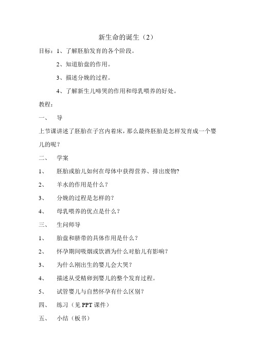 新生命的诞生2