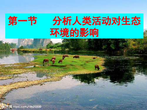 人教版生物七年级下册同步课件第7章第一节分析人类活动对生态环境的影响课件5(37p)