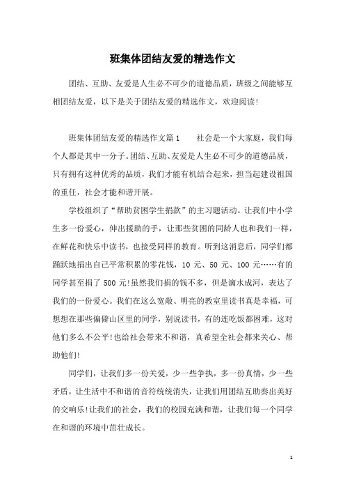 班集体团结友爱的精选作文