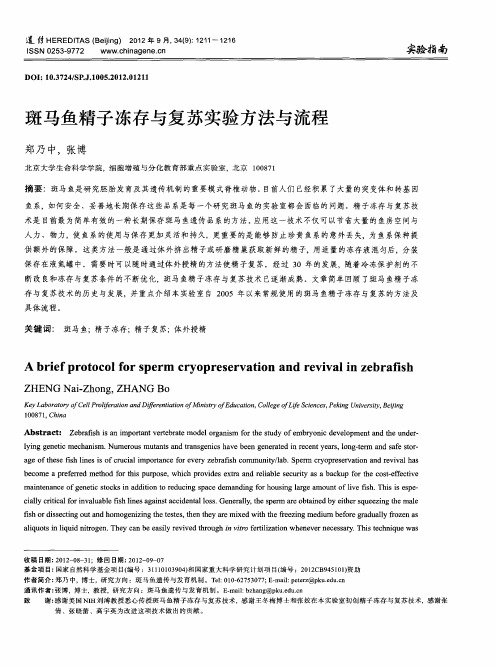 斑马鱼精子冻存与复苏实验方法与流程