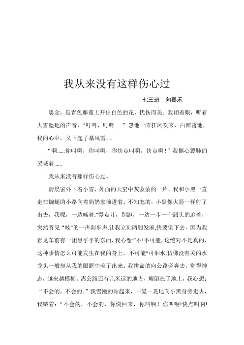 我从来没有这样伤心过