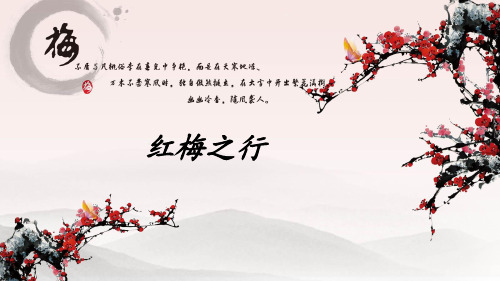 红梅公园介绍..