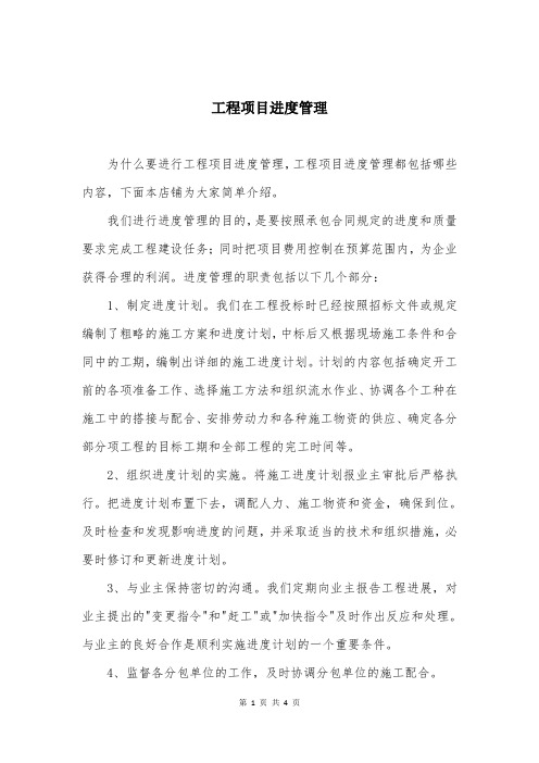 工程项目进度管理