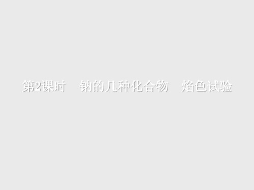 钠的几种化合物 焰色试验