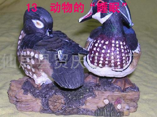 动物的睡眠ppt
