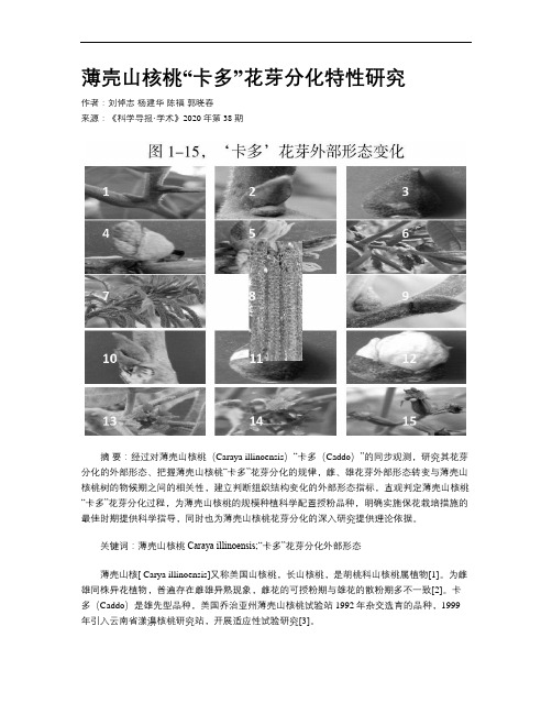 薄壳山核桃“卡多”花芽分化特性研究