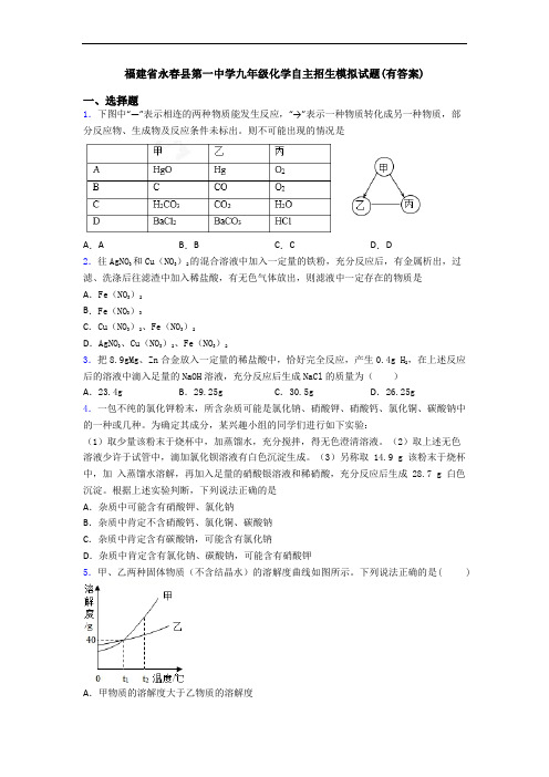 福建省永春县第一中学九年级化学自主招生模拟试题(有答案)