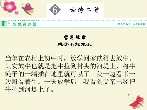 鲁人版语文必修三第6课《古诗二首》ppt课件2