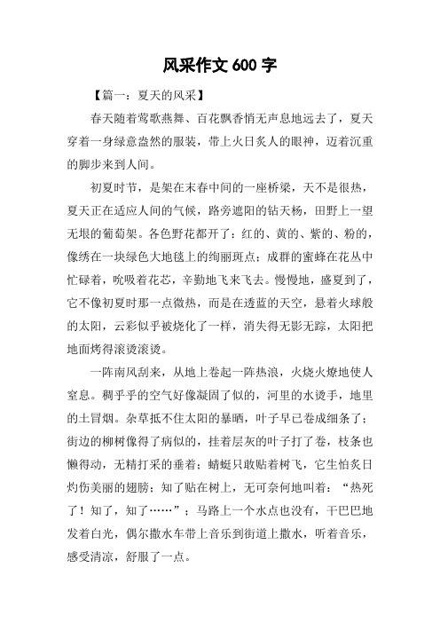 风采作文600字