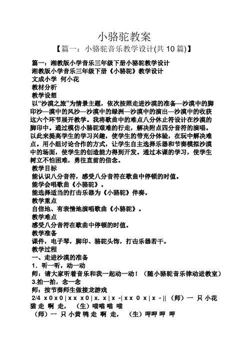 小骆驼教案