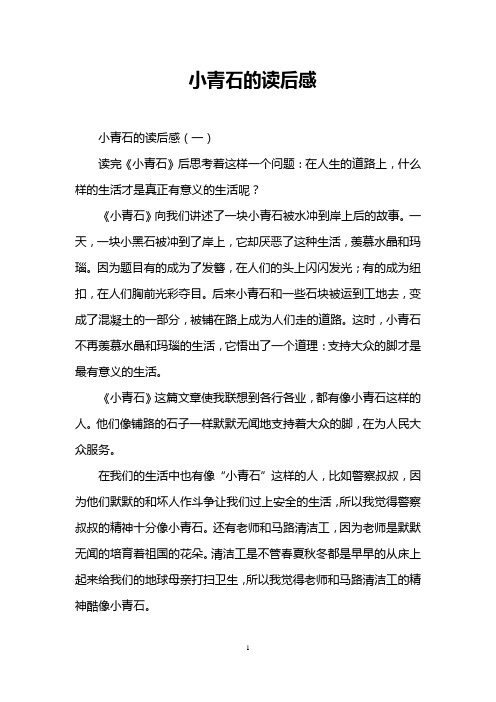 小青石的读后感