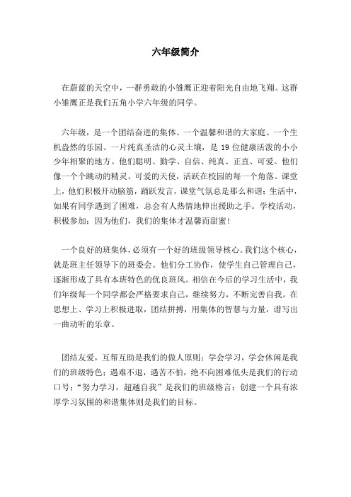 班级简介