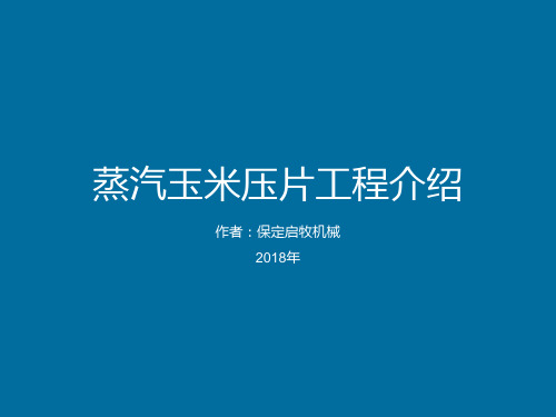蒸汽玉米压片工程介绍