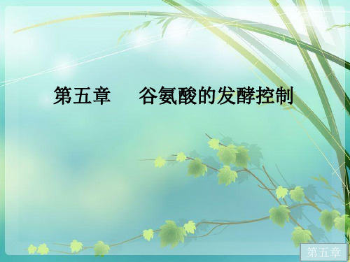 湖北工业大学氨基酸工艺学谷氨酸的发酵控制