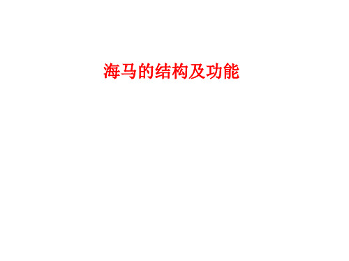 [课件]海马的结构及功能PPT