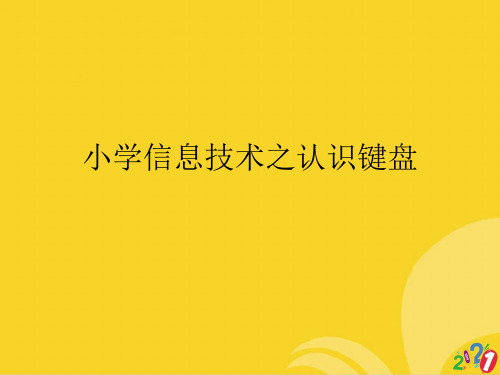 小学信息技术之认识键盘标准文档ppt