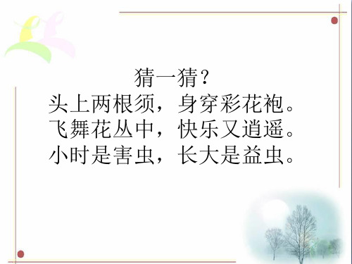 (精选)四年级美术上册第14课蝴蝶落我家PPT课件3湘美版