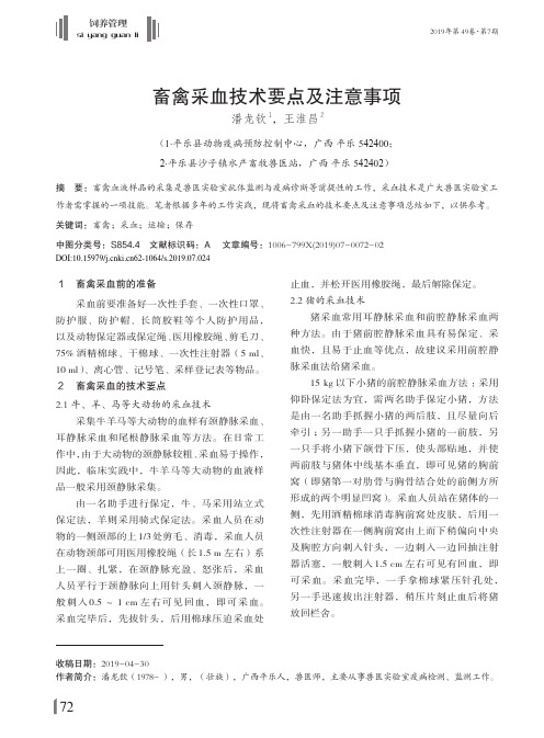 畜禽采血技术要点及注意事项