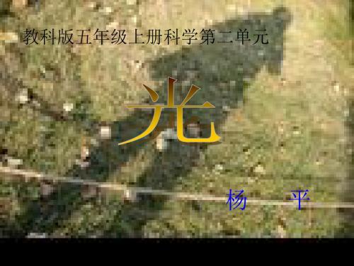 教科版科学五上《光和影》PPT课件1