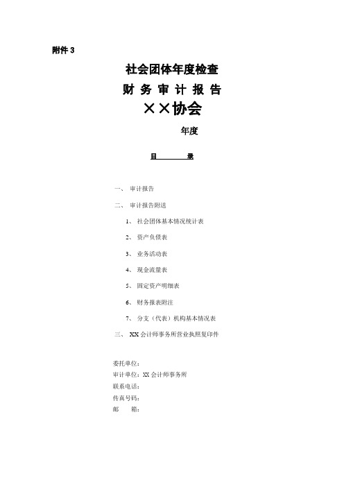 社会团体年度检查财务审计报告(模板)
