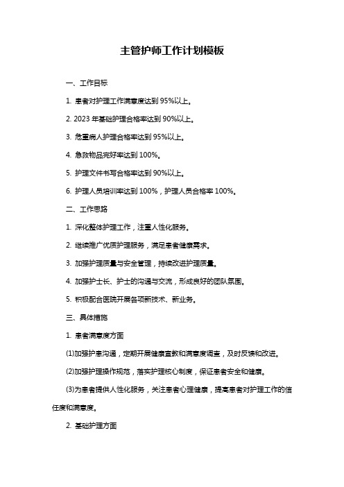 主管护师工作计划模板