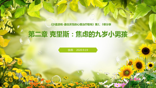《沙盘游戏-通往灵性的心理治疗取向》第2、3章