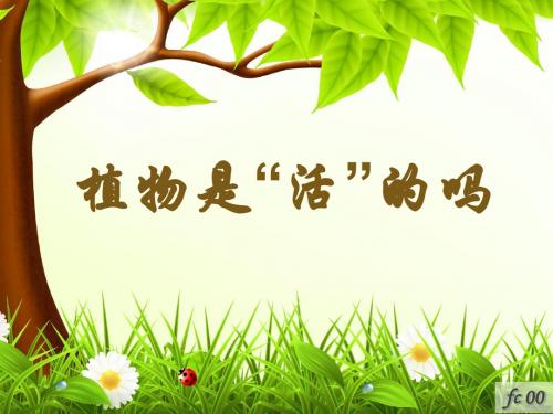 一年级上册科学课件-1.5植物是活的吗 (3) l  教科版 (共14张PPT)