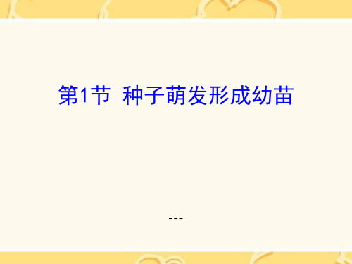 种子萌发形成幼苗(二)(共27张PPT)-PPT课件 