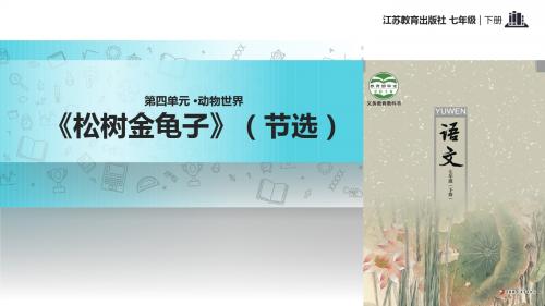 初中新苏教版语文七年级下册16【教学课件】《松树金龟子》(节选)