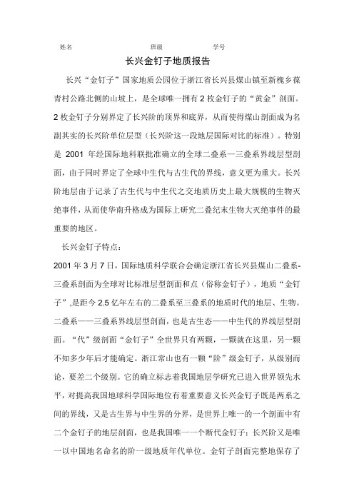 长兴金钉子工程地质报告