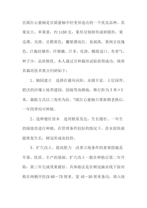 官溪蜜柚
