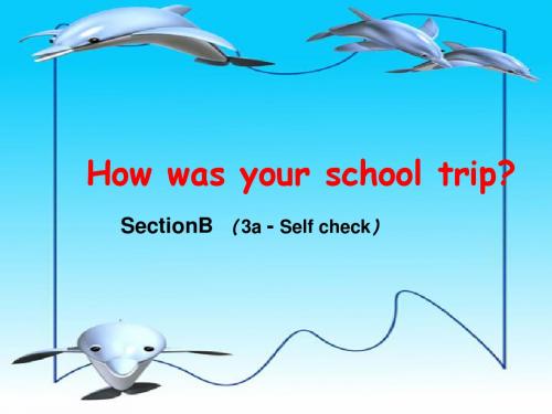 鲁教版期七年级下册 unit4 How was your school trip(3) PPT课件