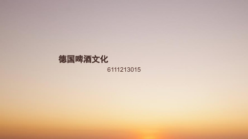 德国啤酒文化 ppt课件