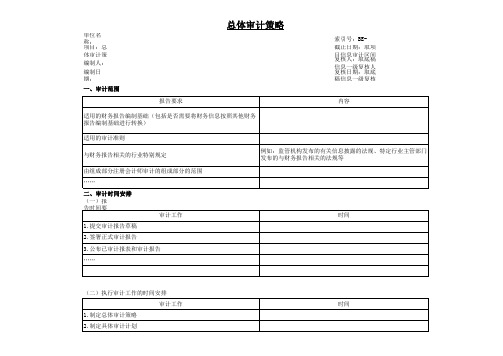 总体审计策略