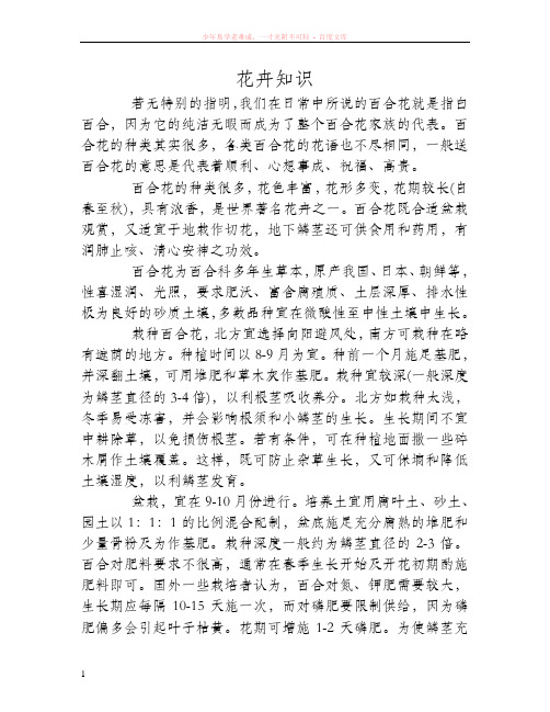 百合花的种植方法及注意事项