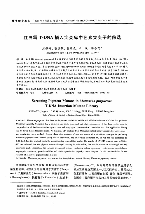 红曲霉T-DNA插入突变库中色素突变子的筛选