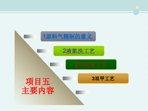 煤化工技术专业《项目五 原料气的精制-双甲工艺》