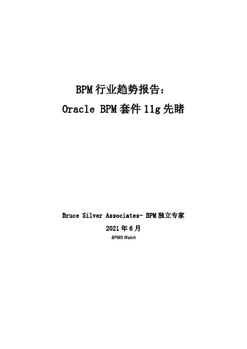 BPM行业趋势报告