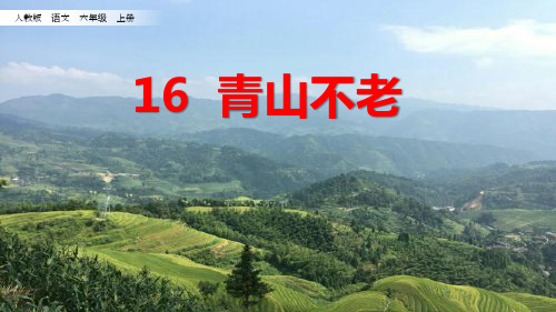 16 、青山不老优秀课件