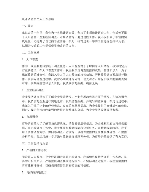 统计调查员个人工作总结