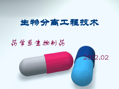 生物分离工程 绪论