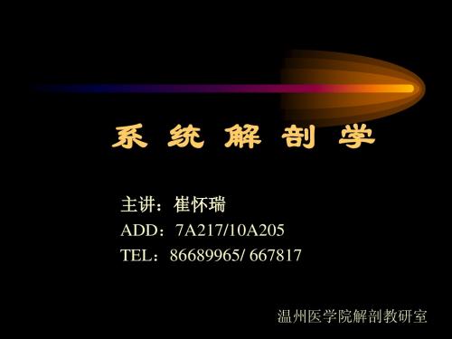 20脑和脊髓的被膜、血管及脑脊液循环